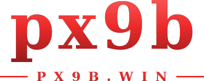 px9b โลโก้